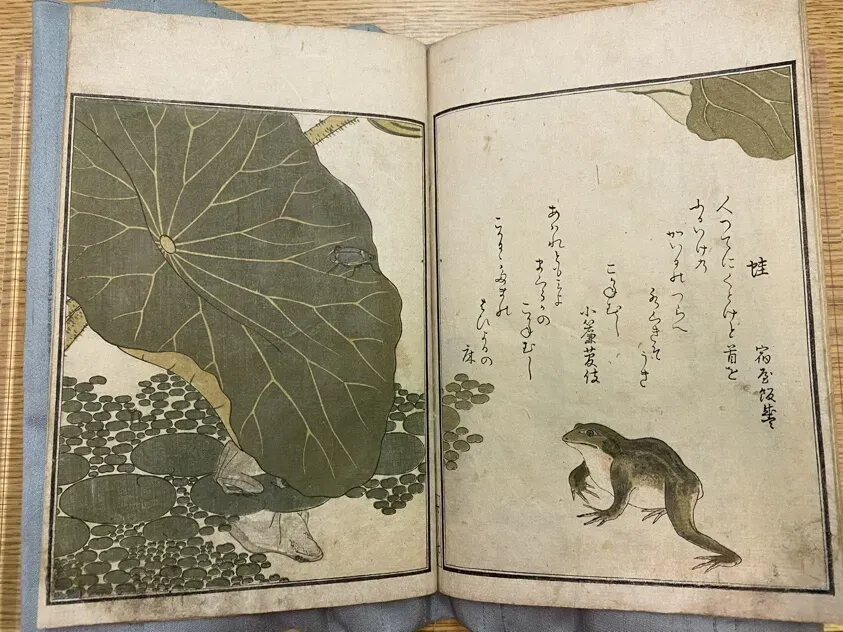 猫 ブリーダー 寄生 虫はなぜ起こる？迎える前に知るべき必須知識と対策【完全版】